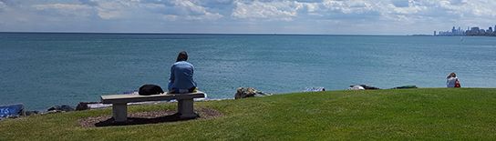 Students study on the lakefill